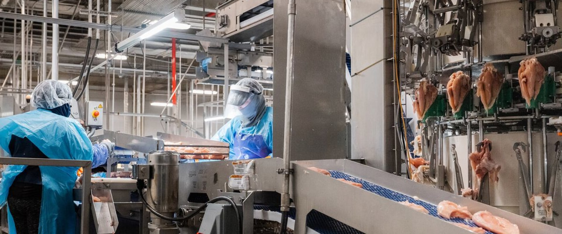 The Impact of Automation on the Bookmaking Industry