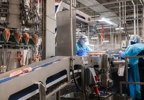 The Impact of Automation on the Bookmaking Industry